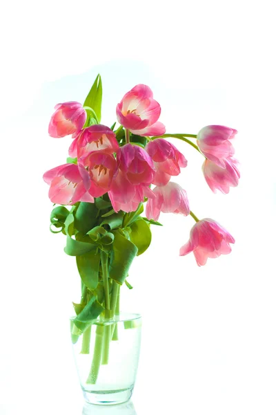Bellissimi tulipani in vaso di vetro — Foto Stock