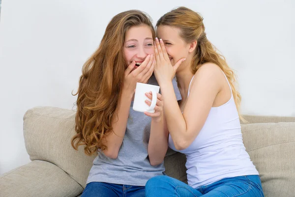 Two happy friends drinking coffee or tea and gossioing — Stock Photo, Image