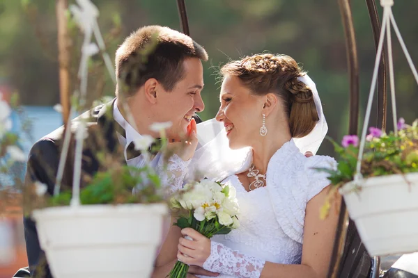 Novia y novio — Foto de Stock