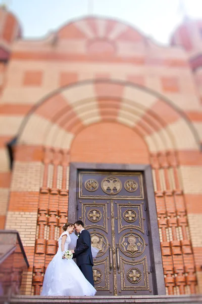 Novia y novio — Foto de Stock