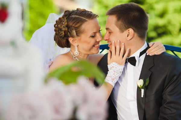 Novia y novio — Foto de Stock