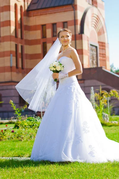 Bonito retrato de novia — Foto de Stock