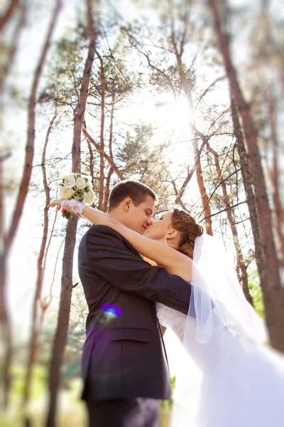 Novia y novio — Foto de Stock