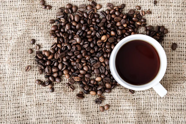 The coffee grains — Stock Photo, Image