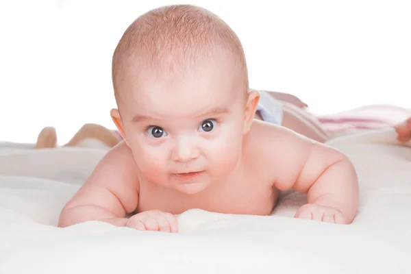 Bebê pequeno bonito em cobertor — Fotografia de Stock