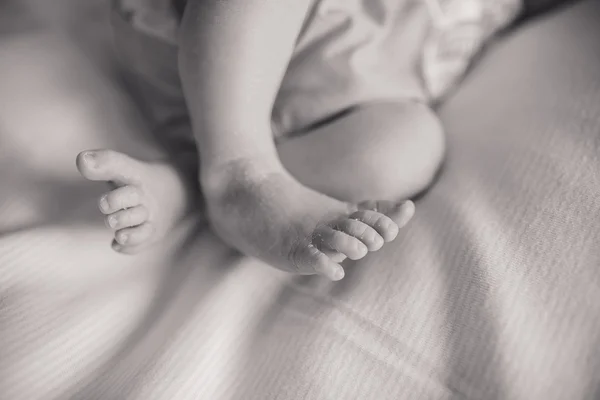 Newborn baby feet — Stock Photo, Image