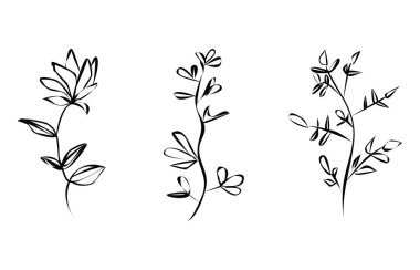 Yapraklarla çizilmiş siyah el dalları. vektör illüstrasyonu