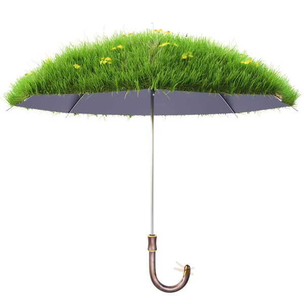 Paraply dekket med grønt gress . – stockfoto