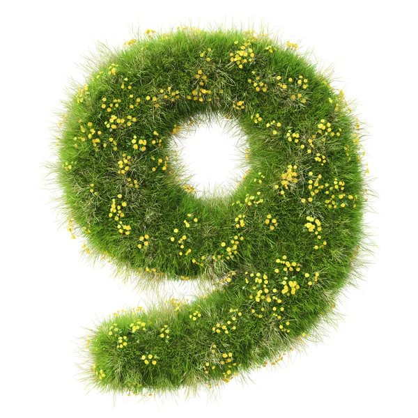 Numero 9 dall'erba verde — Foto Stock