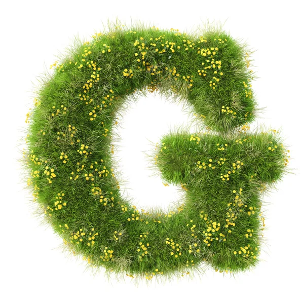 Litera G z zielonej trawy i kwiaty — Zdjęcie stockowe