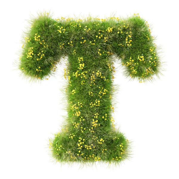 T 的绿草和鲜花的信 — 图库照片