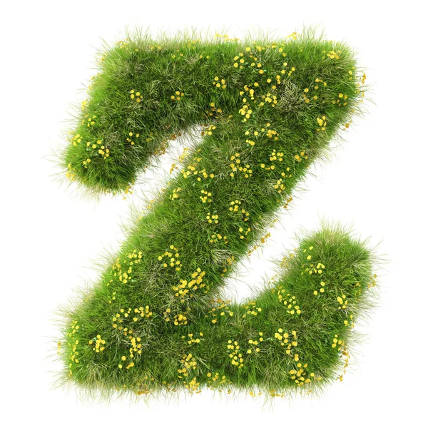 Z Letter from the green grass and flowers — Stock Photo, Image