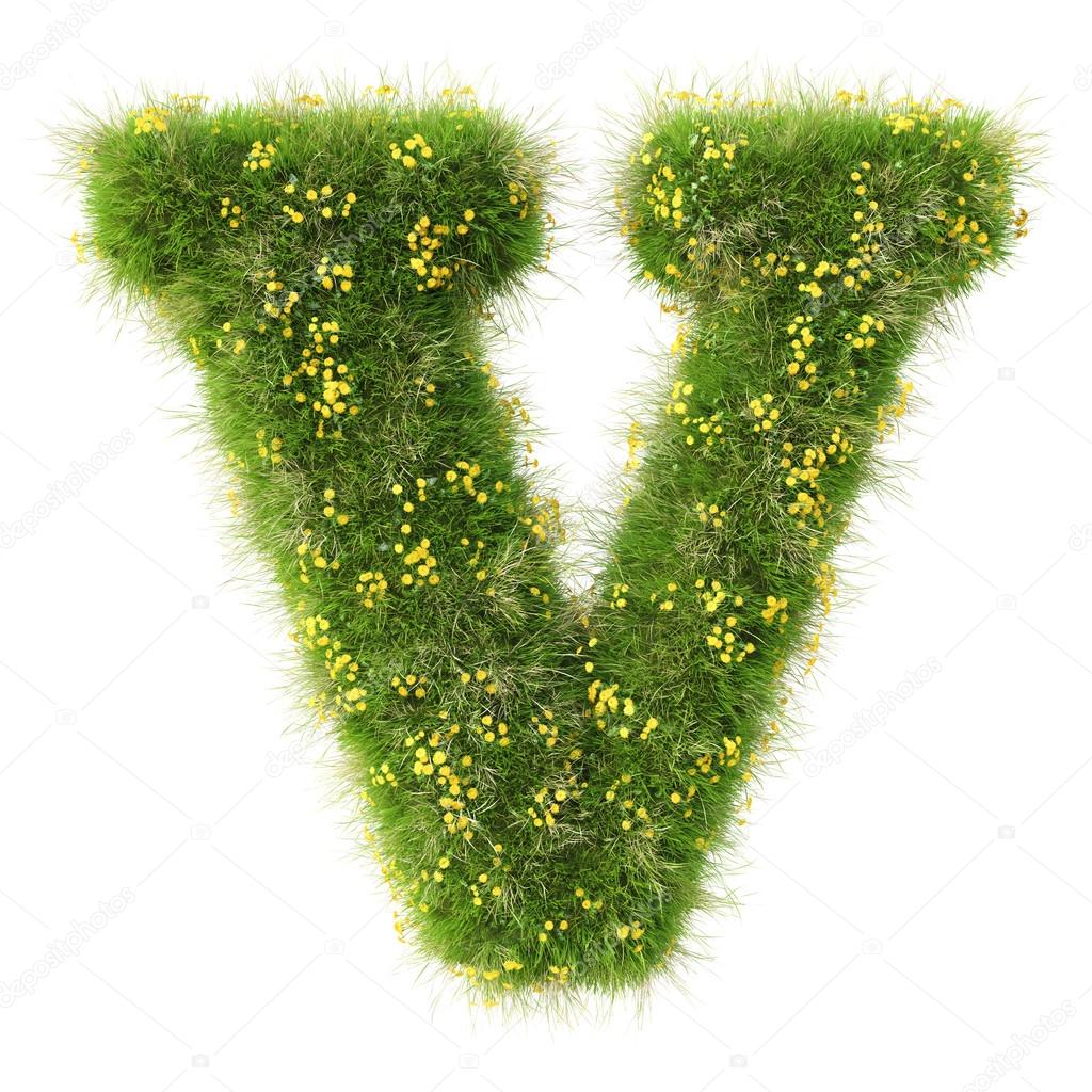 V Letter from the green grass and flowers