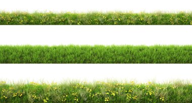 Green grass with flowers clipart