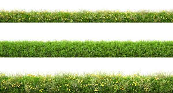 зеленая трава с цветами