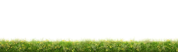 Зеленая трава с цветами — стоковое фото