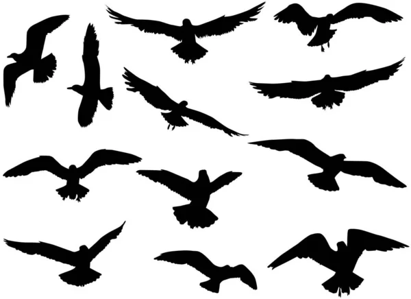 Fliegende Vögel Silhouetten Konzeptillustration — Stockvektor