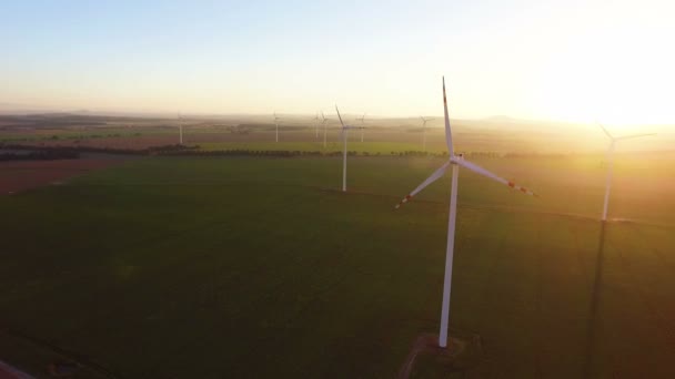 The wind power plant at sunset light — Stock Video