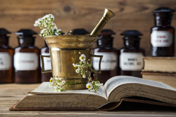 La antigua medicina natural, hierbas y medicinas — Foto de Stock