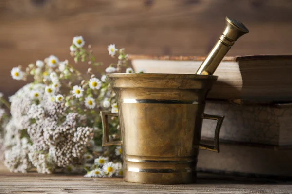 De oude natuurlijke geneeskunde, kruiden en geneesmiddelen — Stockfoto