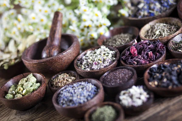 Die alte chinesische Medizin — Stockfoto