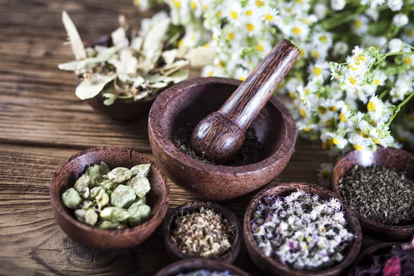 L'antica medicina cinese — Foto Stock