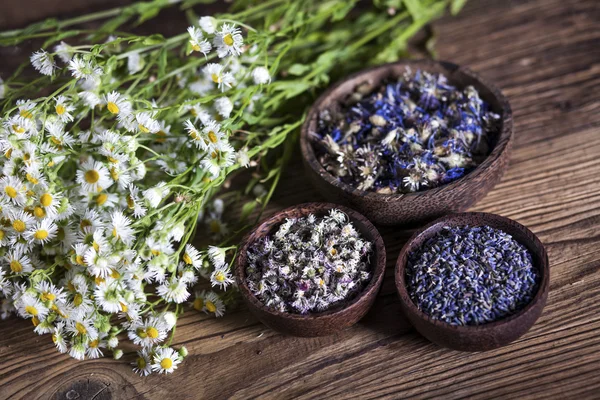 The ancient Chinese medicine — Stock Photo, Image