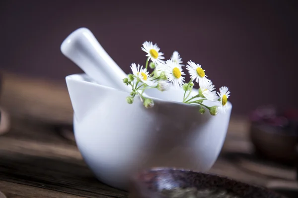 L'antica medicina cinese — Foto Stock