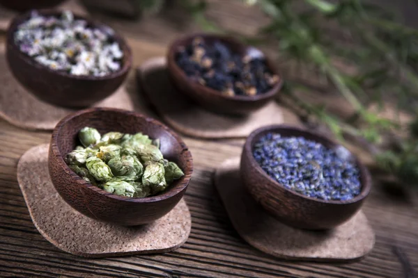 The ancient Chinese medicine — Stock Photo, Image