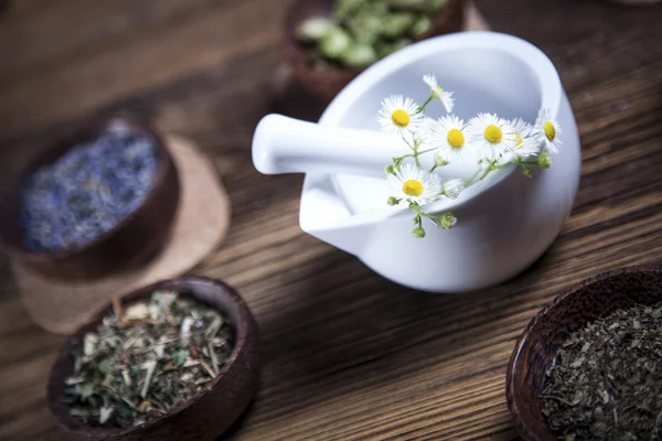 Die alte chinesische Medizin — Stockfoto