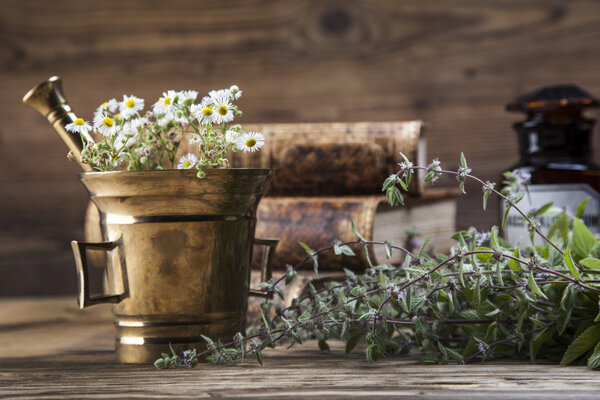 The ancient natural medicine, herbs and medicines