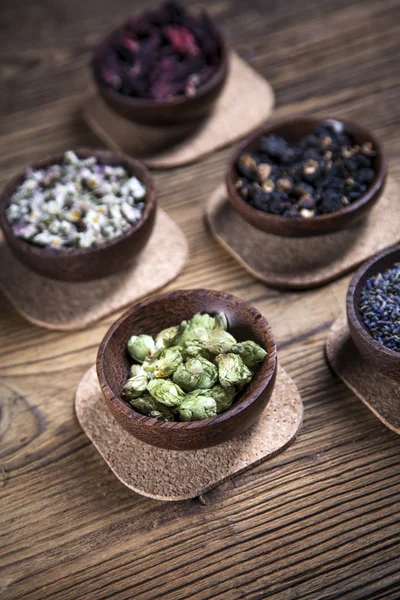 The ancient Chinese medicine — Stock Photo, Image