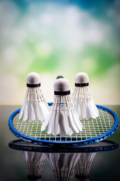 Sada badminton. Pádlo a badmintonový míček. — Stock fotografie