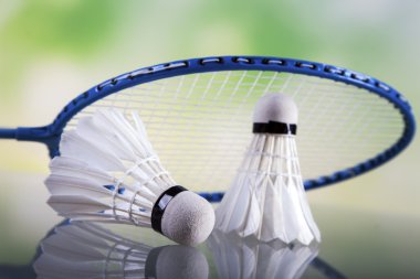 Badminton kümesi. Kürek ve raketle.