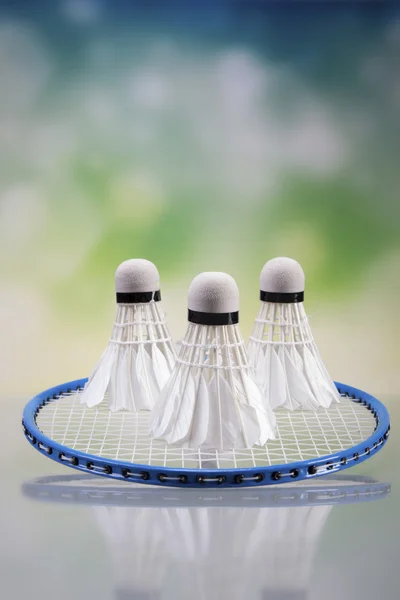 Eine Reihe von Badminton. Paddel und Federball. — Stockfoto