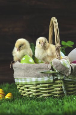 Paskalya kepçe ile yumurta, çevresinde genç Paskalya tavuk