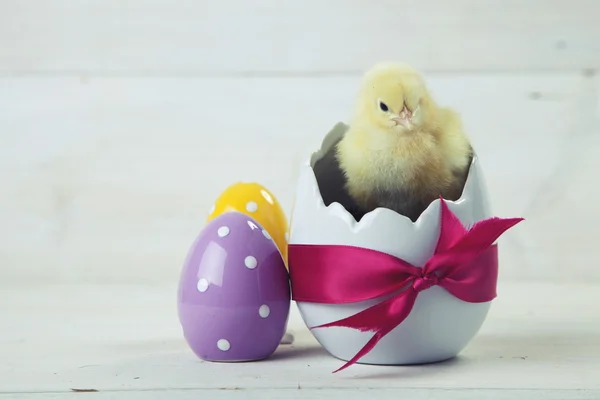 Pollo pasquale, uova e decorazione su sfondo bianco — Foto Stock