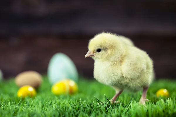 Galinha de Páscoa, ovos e decorações — Fotografia de Stock