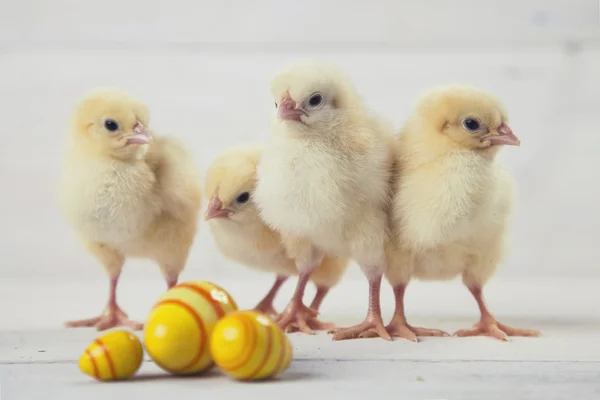 Osterhuhn, Eier und Dekoration auf weißem Hintergrund — Stockfoto