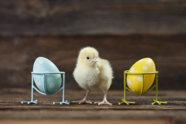 Giovane pollo e due uova su sfondo di legno — Foto Stock