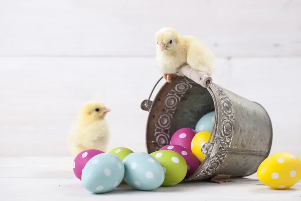 Pollo de Pascua, huevos y decoración sobre fondo blanco — Foto de Stock