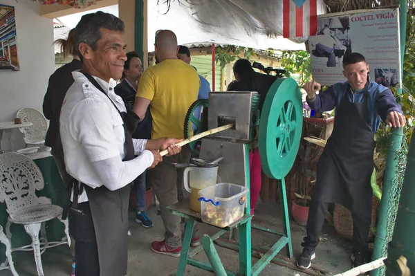 Finca Vigia Cuba Janvier 2018 Les Hommes Pressent Jus Canne — Photo