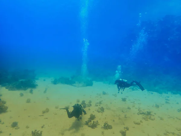 Scuba Divers Ocean Floor — Stock Photo, Image