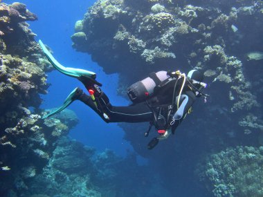 Mercan resifinde dalgıç.