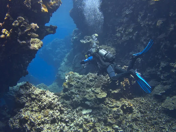 Scuba Diver Coral Reef — Stock Photo, Image