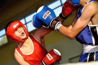 Gençler Boks Turnuvası