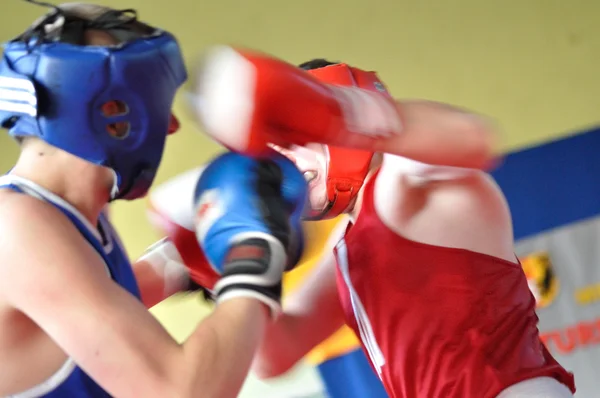 Torneio de boxe júnior — Fotografia de Stock