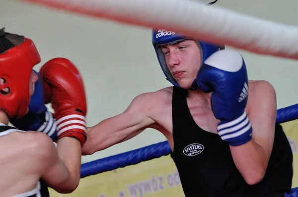 Junior boxning turnering — Stockfoto