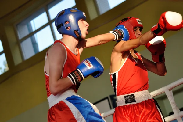 Junior boxing tournament — Stock Photo, Image