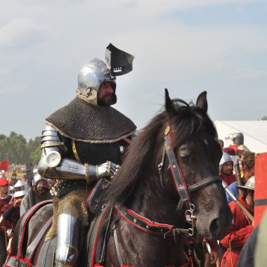 Grunwald Savaşı Şövalyesi